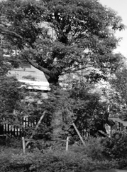 合肥注册公司
